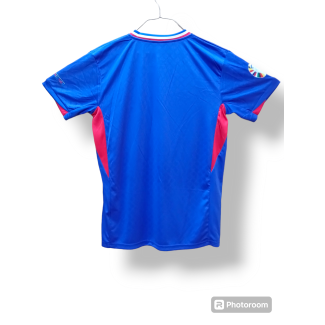 France Home kit 24/25